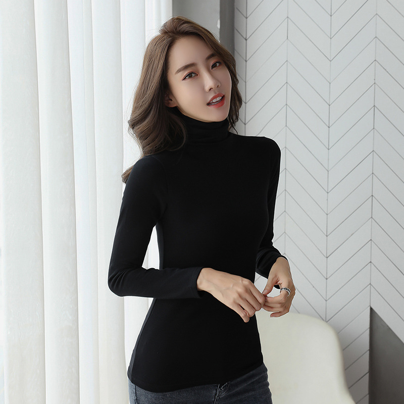 Women's Turtleneck Long Sleeve Shirt, Lined, Slim Fit