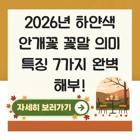 하얀색 안개꽃 꽃말 의미 특징