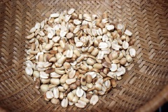 Ớt chuông rửa sạch, cắt thanh mỏng. Đậu phộng, mè trắng rang chín, cho ra chén, để riêng. Riêng đậu phộng cho vào cối, giã nhỏ. Đậu phộng, mè rang là không thể thiếu nha, hương vị của gỏi bắp bò nắm ở chỗ này đó.