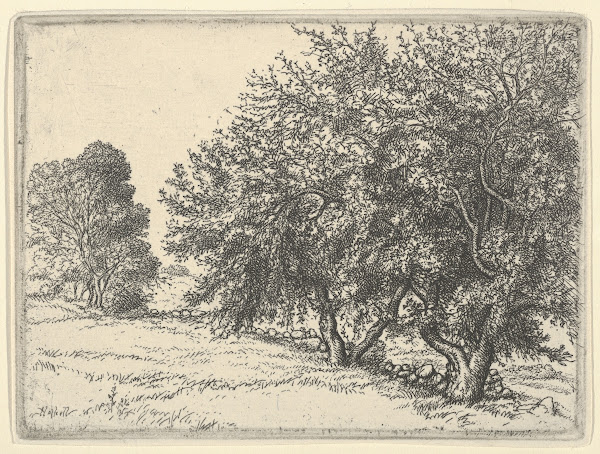 Apple Trees 1923