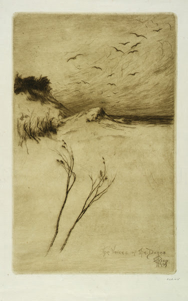 The Voices of the Dunes 1909