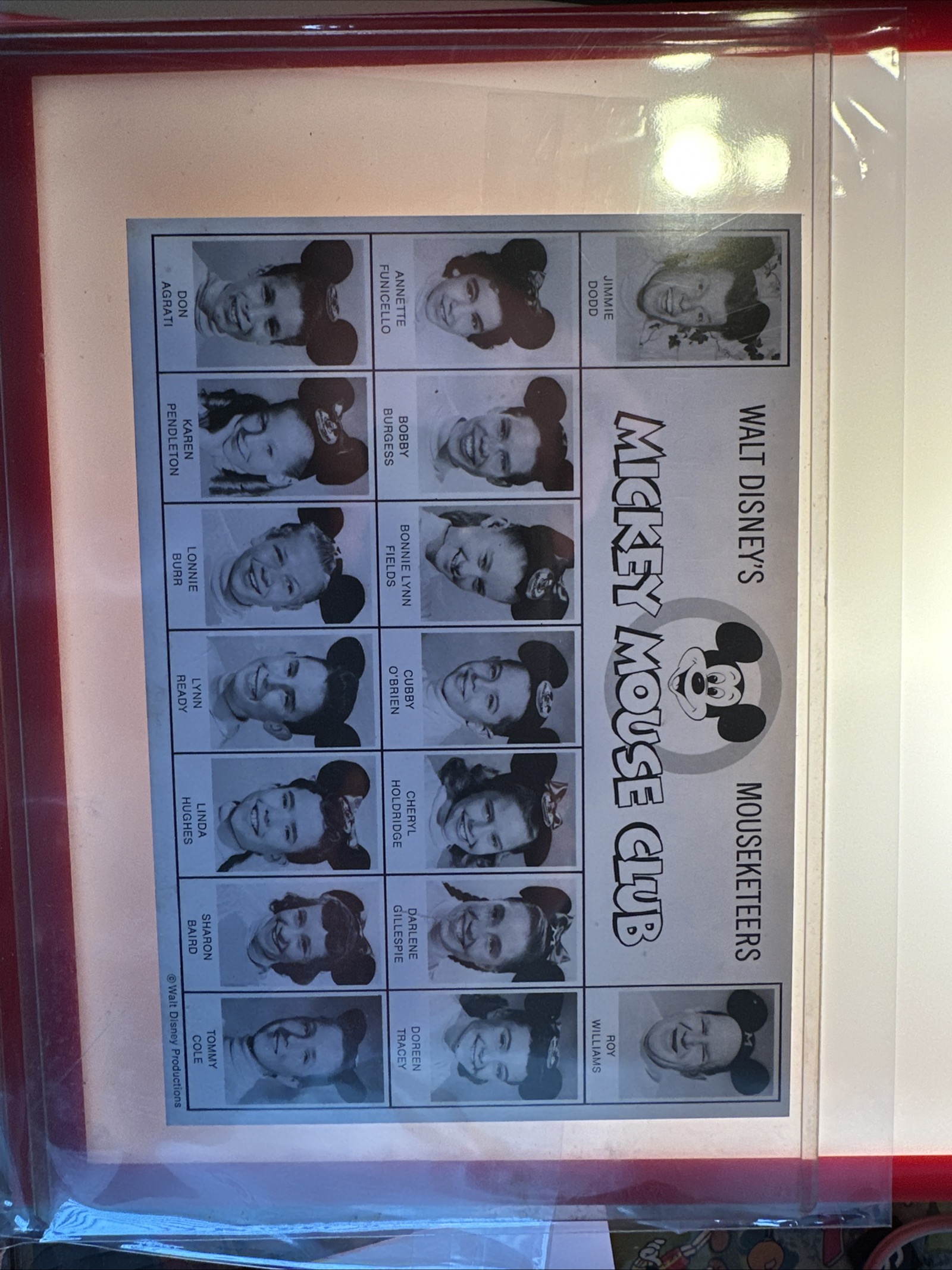 Late 1950s Walt Disney Productions 8x10 glossy publicity photograph of the original Mickey Mouse Club Mouseketeers cast including Annette Funicello, Jimmie Dodd, and Roy Williams