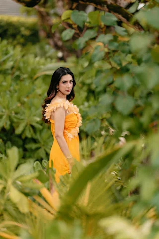 হলুদ পরী মীম