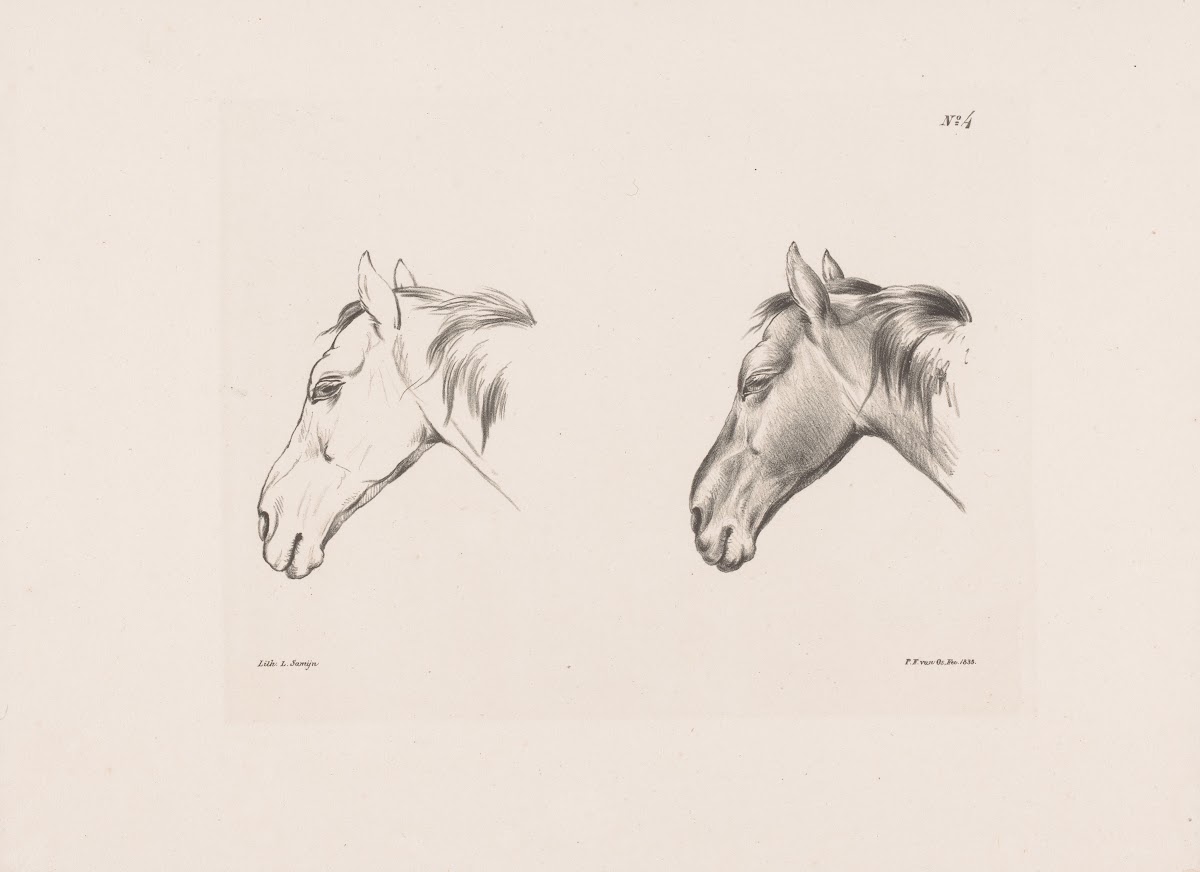 Twee studies van een paardenhoofd 1835