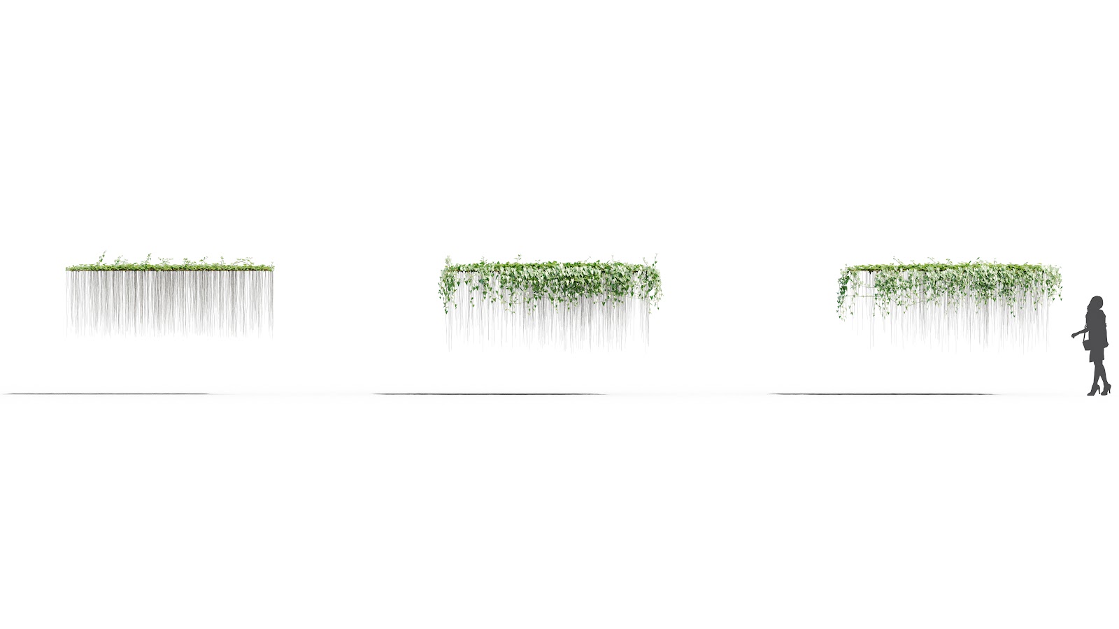 Maxtree - Plant Models Vol.37