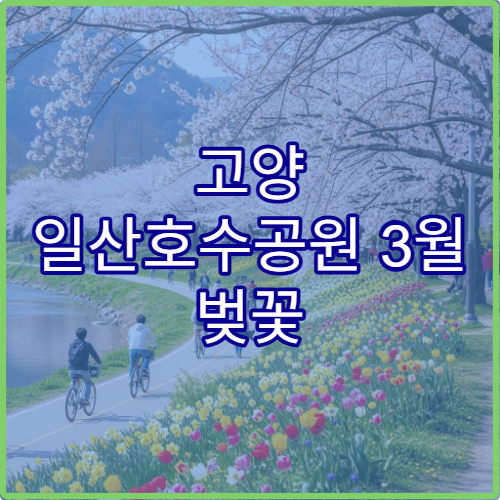 고양 일산호수공원 3월 벚꽃 새벽 산책 조용한 코스