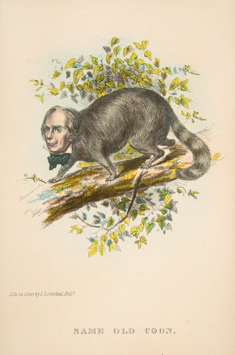 Same Old Coon Henry Clay 1851