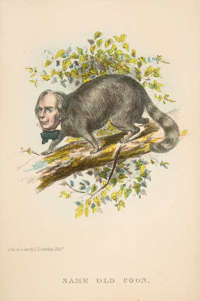Same Old Coon Henry Clay 1851