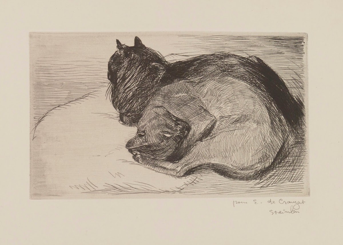 Deux chats endormis 1914