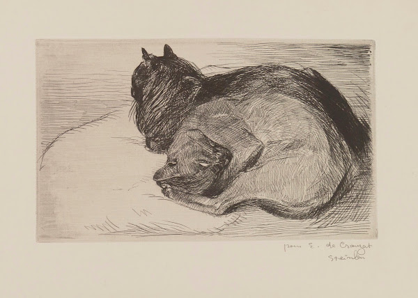 Deux chats endormis 1914