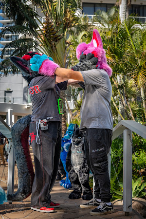 furdu-03960.jpg