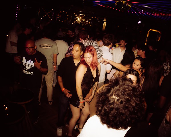 Paradisco photo 37