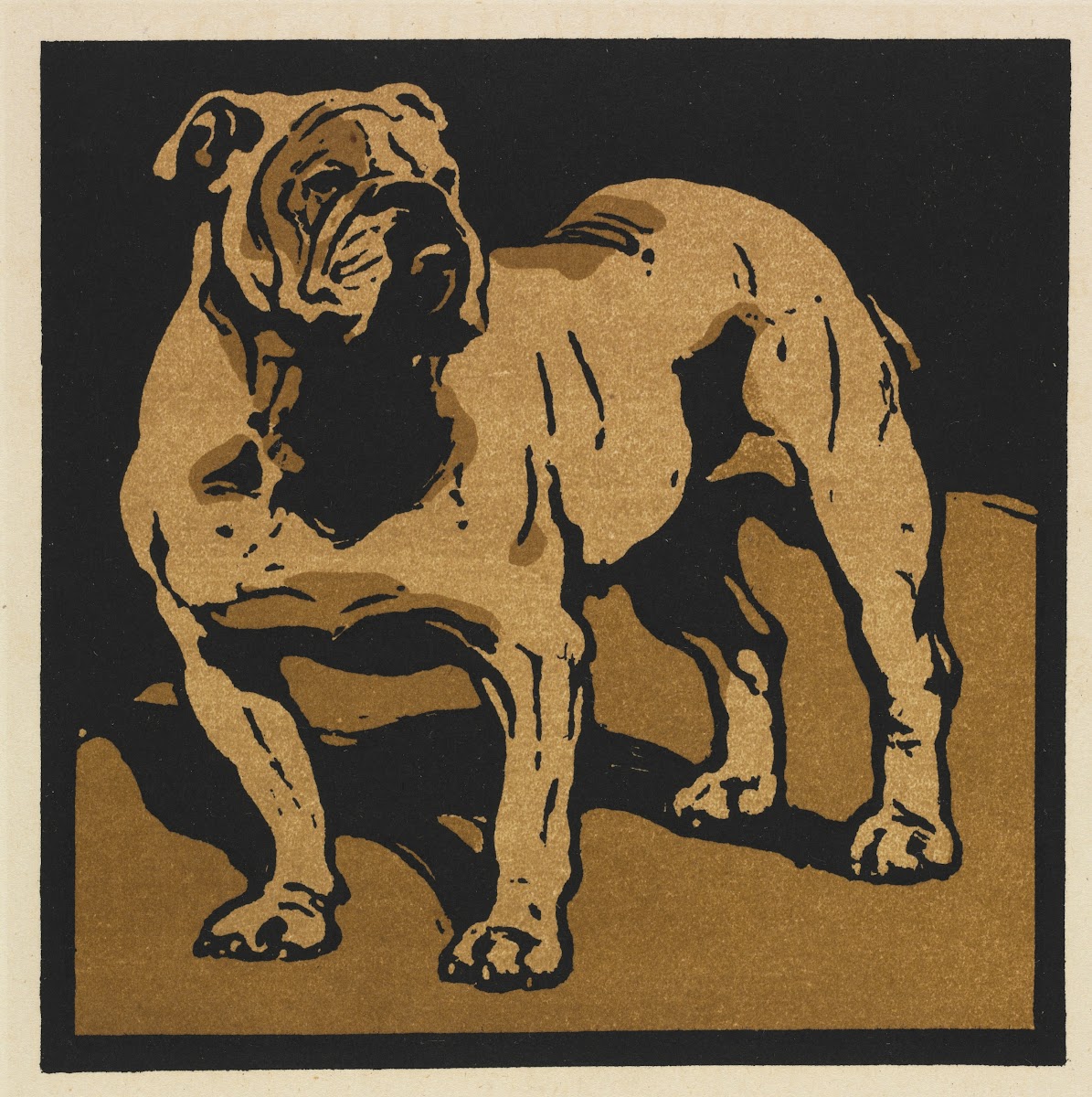 The Square Book of Animals The British Bull Dog 1899