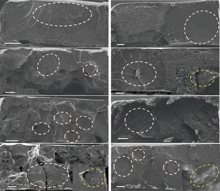 Increasing the toughness while reducing the viscosity of carbon nanotube/polyether imide/polyether ether ketone nanocomposites