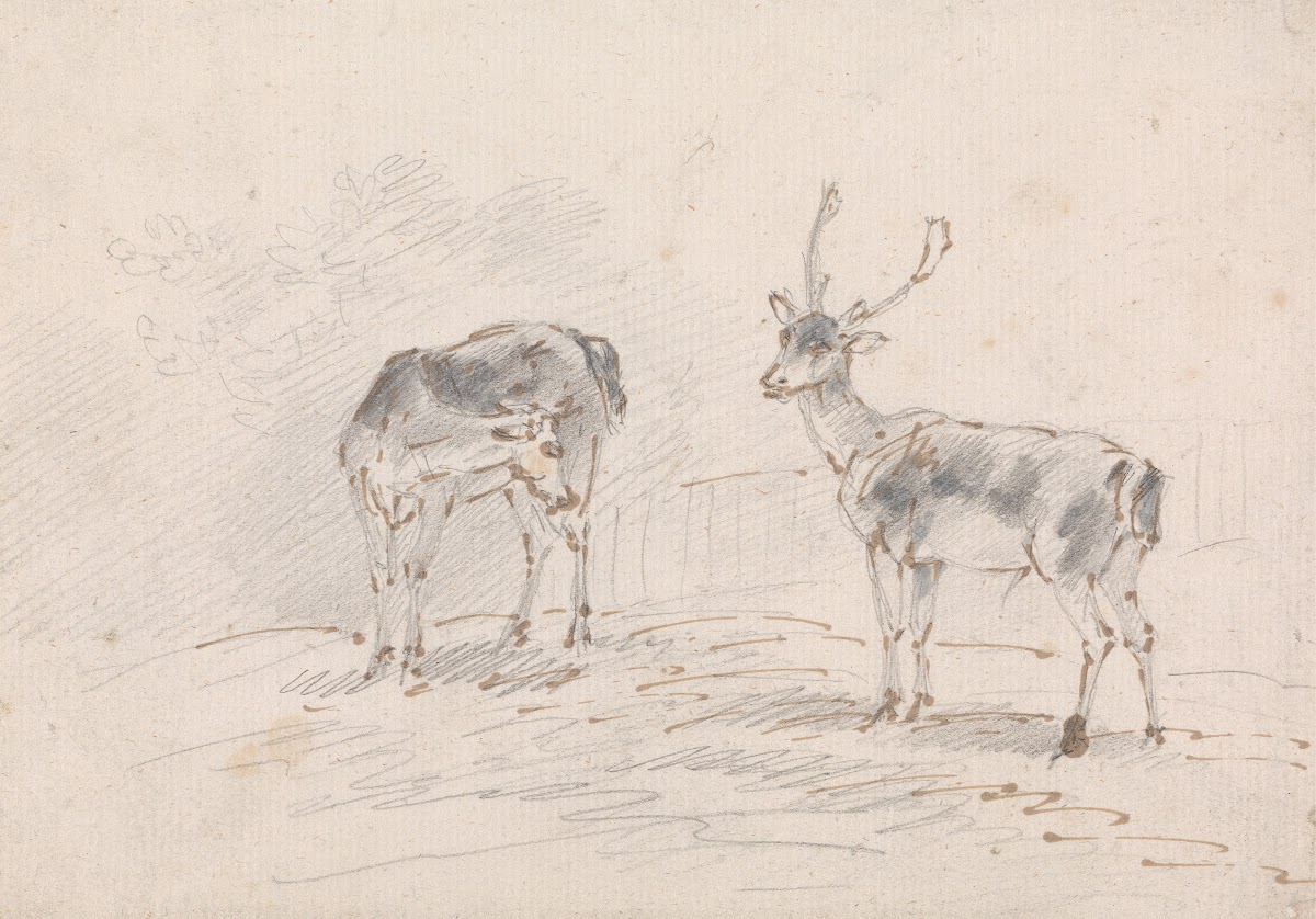 Doe and Buck