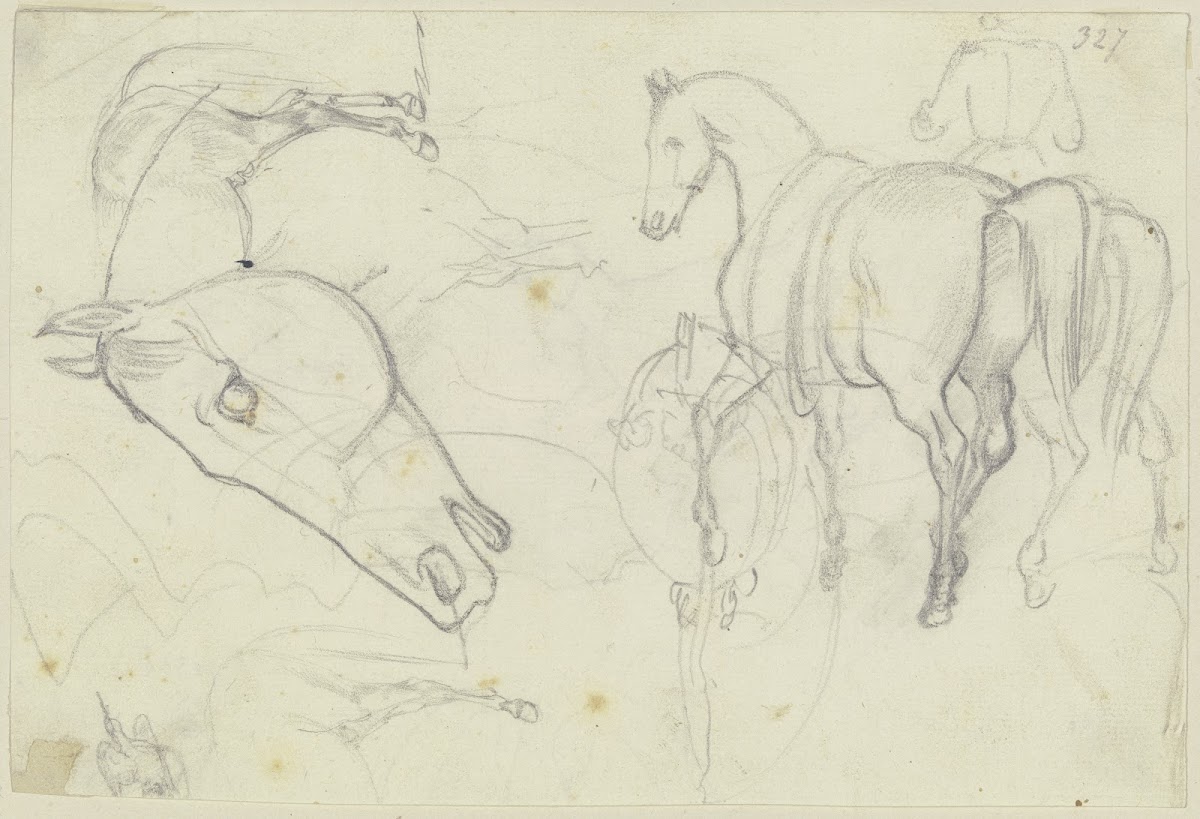 Studies of horses