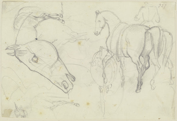 Studies of horses