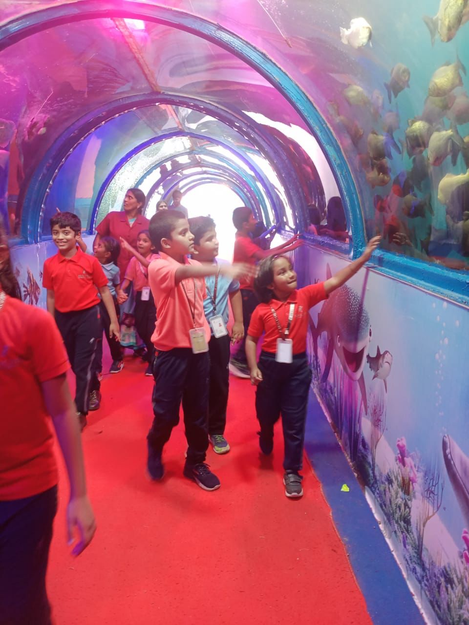 Aquarium & Alien World - Photo 3