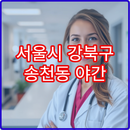 서울시 강북구 송천동 야간 응급의학과 호흡곤란·열 응급 진료 병원