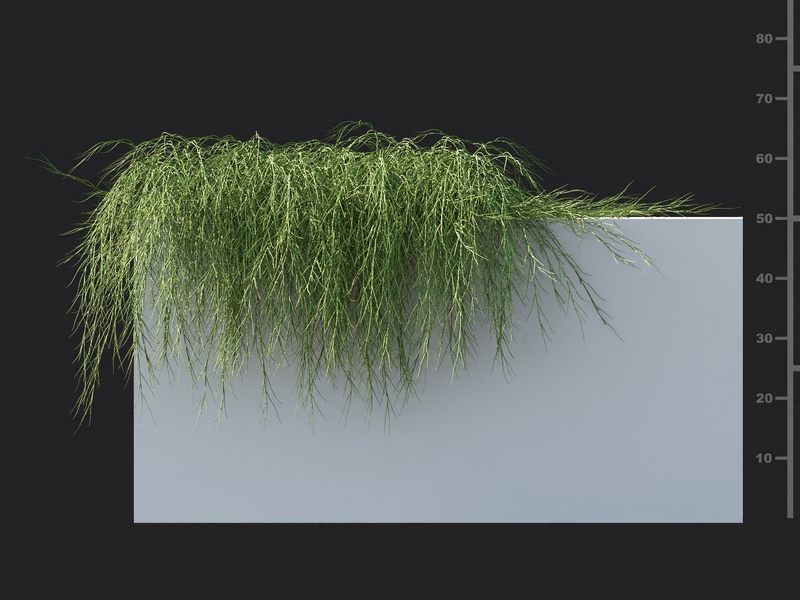 Maxtree - Plant Models Vol.119