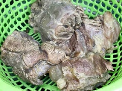 Nấu sôi bằng lửa nhỏ trong 20-25 phút với bắp bò hoa, và 25-30 phút nếu với bắp bò lõi rùa (không đập nắp). Canh vớt bọt bạn nhé. Không nên nấu quá lâu thịt mềm quá ăn sẽ không giòn (trừ khi bạn thích ăn mềm, có thể nấu thêm 10-20 phút). Xong vớt thịt ra để ráo nước.
