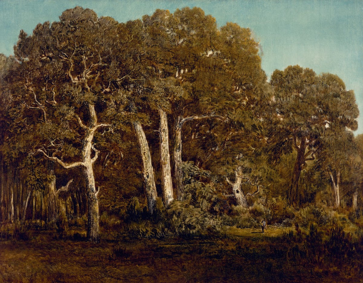 The Great Oaks of Old Bas Bréau 1864