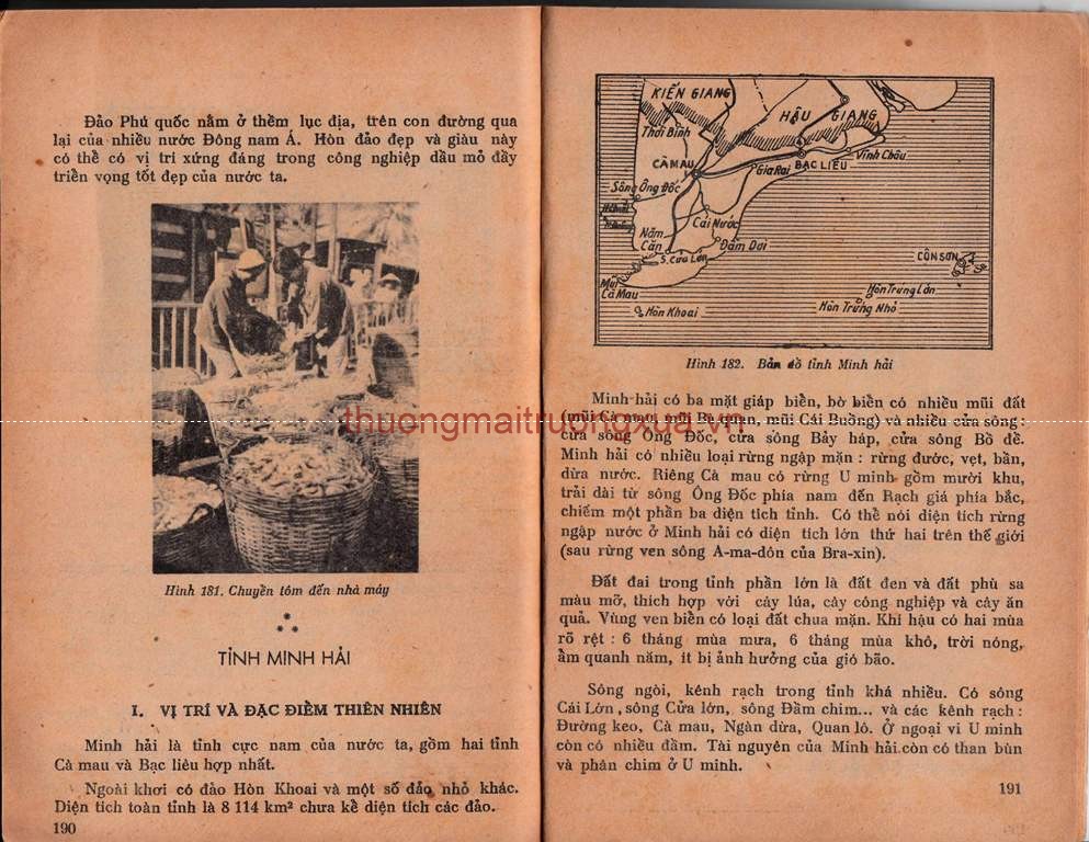 Tập san : Mực tím (số 59 - 1992) - Trang 95