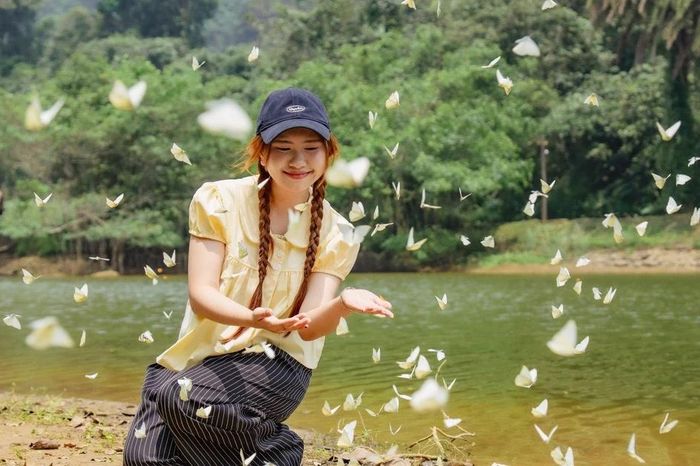 Rừng Cúc Phương 'gây sốt' mùa bướm, trải nghiệm chỉ từ 100.000 đồng - Báo Tri thức &amp; Cuộc sống