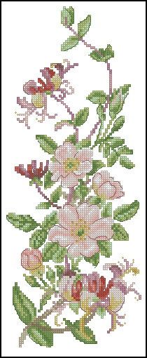 CMP TK620 Summer Flowers
