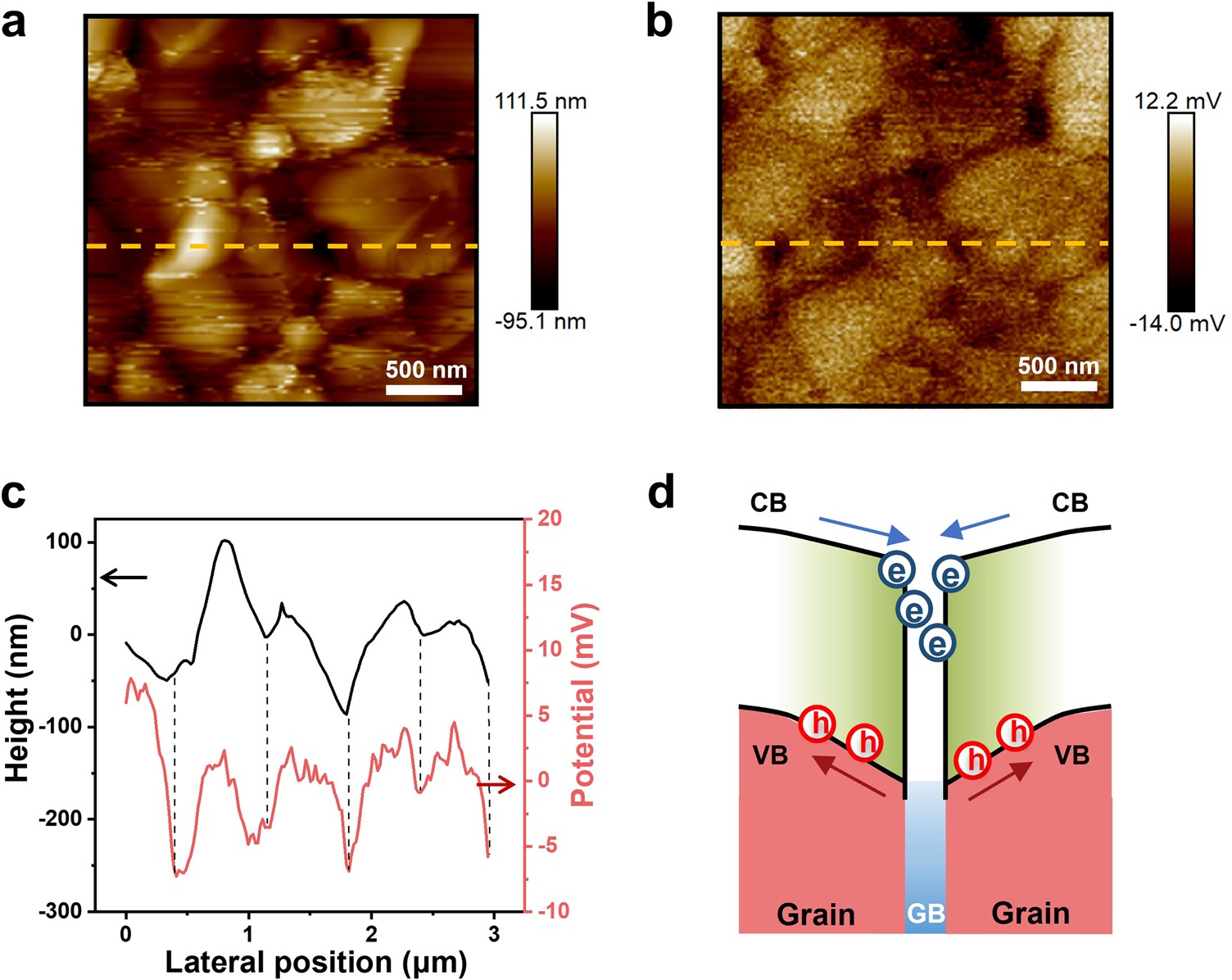 Grain Boundaries Contribute to the Performance of Perovskite Solar Cells by Promoting Charge Separations
