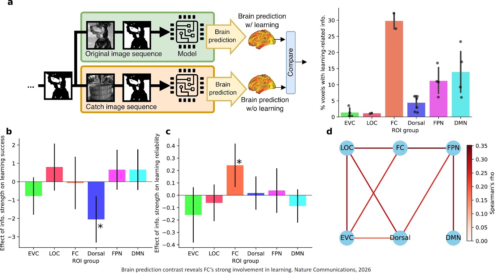 Neural and computational mechanisms underlying one-shot perceptual learning in humans