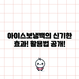 아이스보냉백 효과, 아이스보냉백 활용법, 여름 필수품, 캠핑 아이템, 스마트 소비자