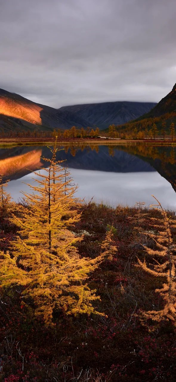 Autumn Lake Reflections Fall Clouds Nature Russia 4K iPhone Phone Wallpaper