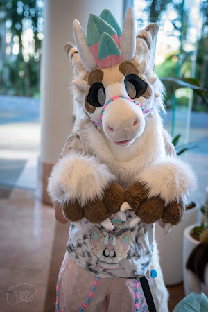furdu-04125.jpg