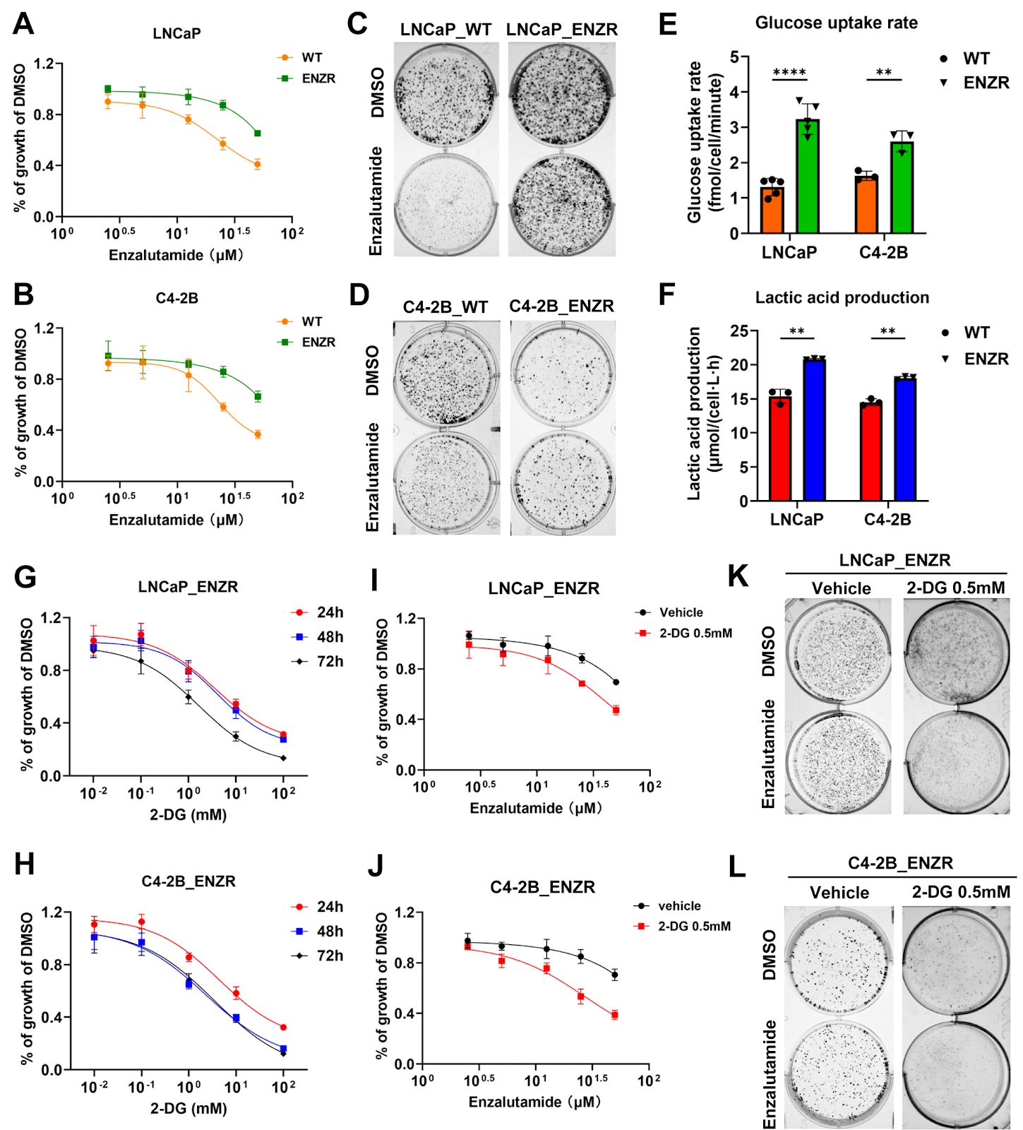 Glycolysis Reprogramming Predicts Poor Prognosis and Drives Therapy Resistance via CLN6 in Lethal Prostate Cancer