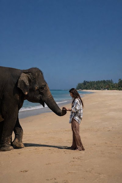 Приватный · ELEPHANT BEACH, SAMET NANGSHE AND MANTRA SPA photo 5