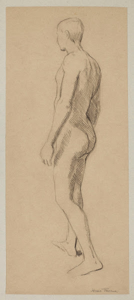 Male nude 1880   1910