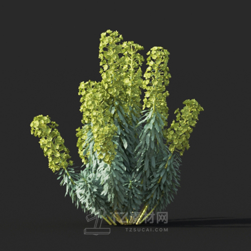 Maxtree - Plant Models Vol.60