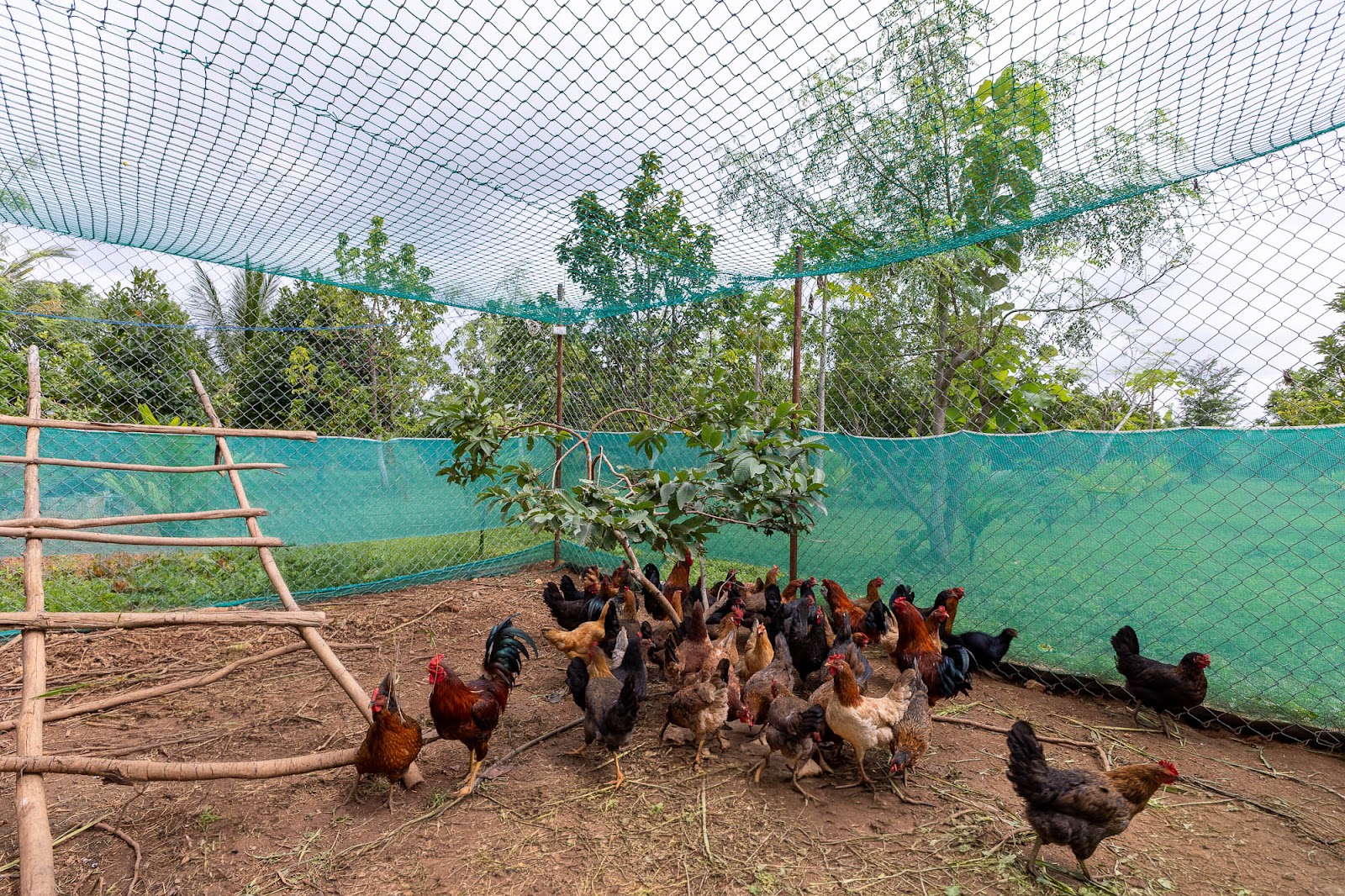 feel good farm stay