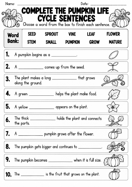 Pumpkin Life Cycle Sentence Completion Worksheet