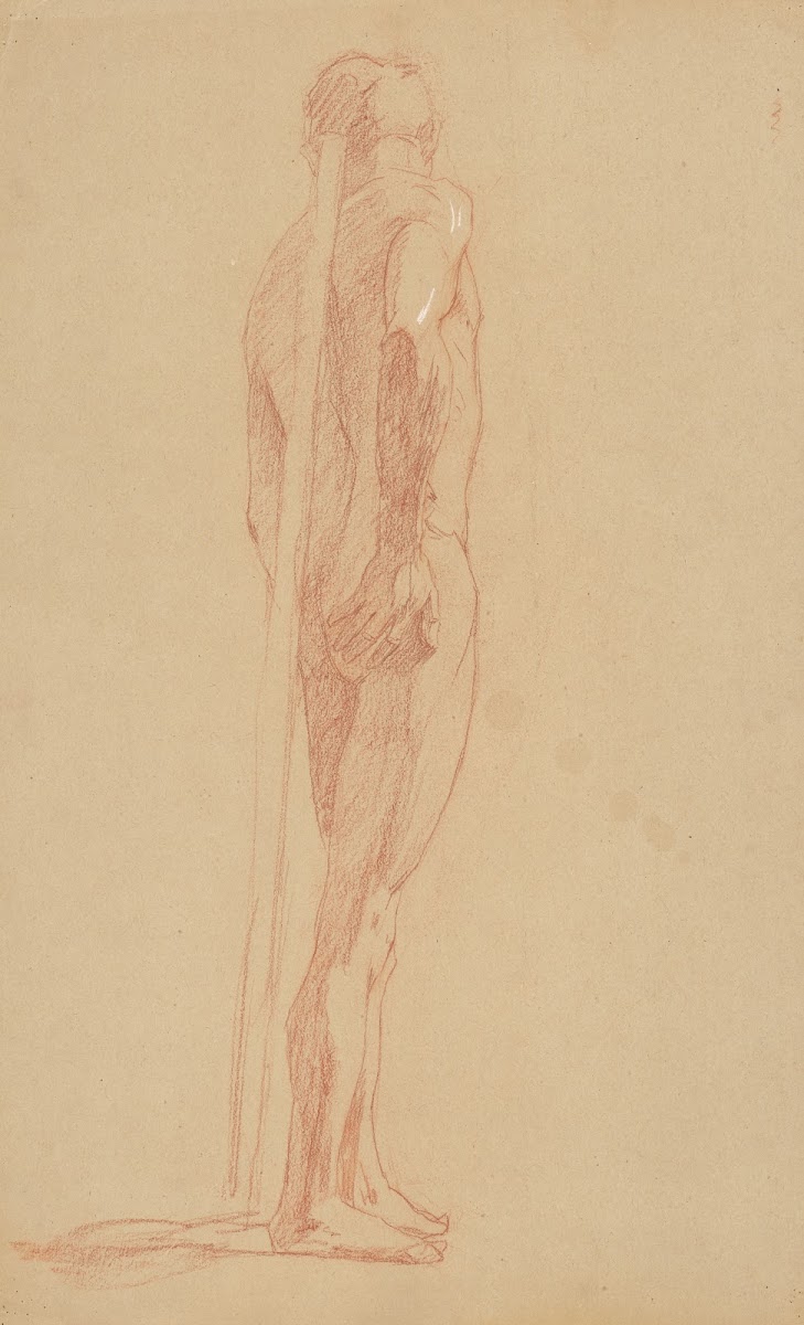 Study of the male nude