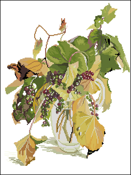 CMP FJ601 Wild Grape