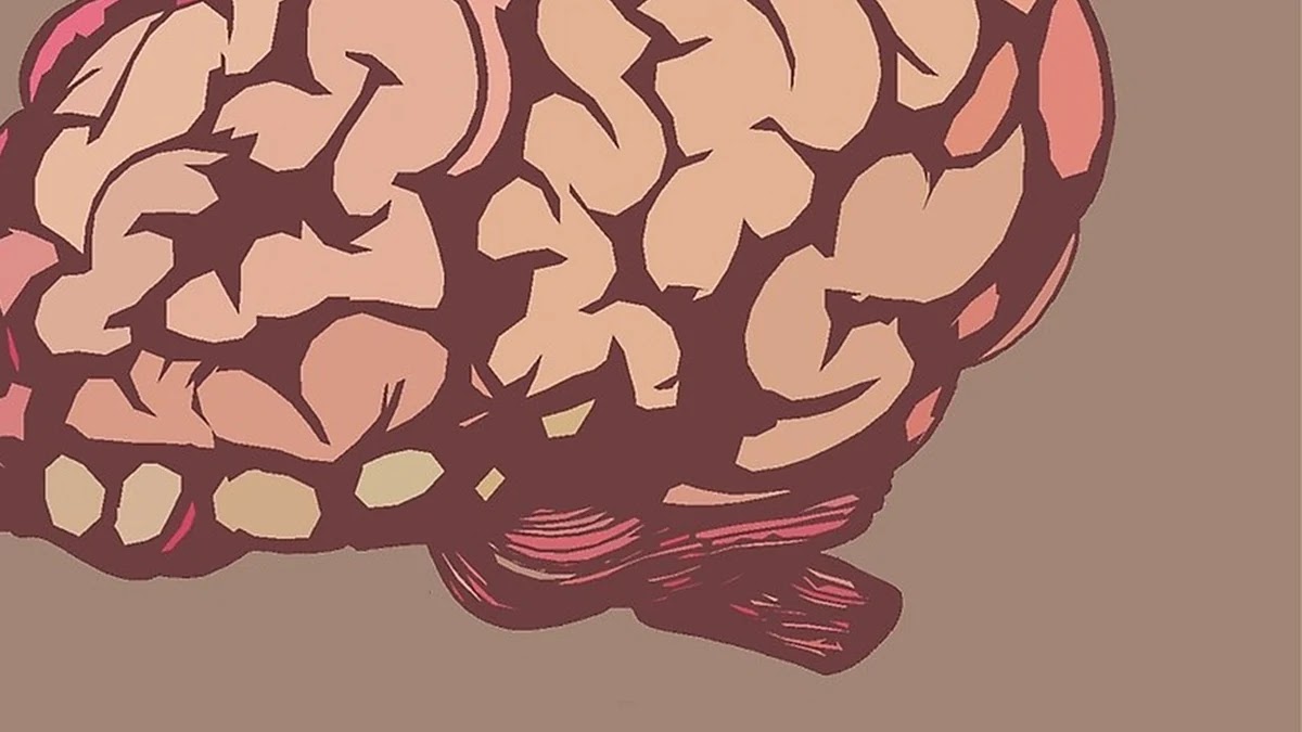 직관적 판단과 무의식 결정의 뇌과학적 구조 이해하기