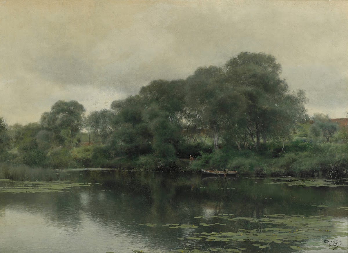 Stillness on a lily pond