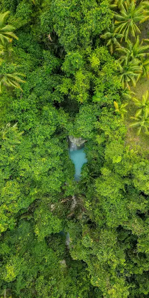 Aerial, Rainforest, Waterfall, Jungle Full HD iPhone Wallpaper Background