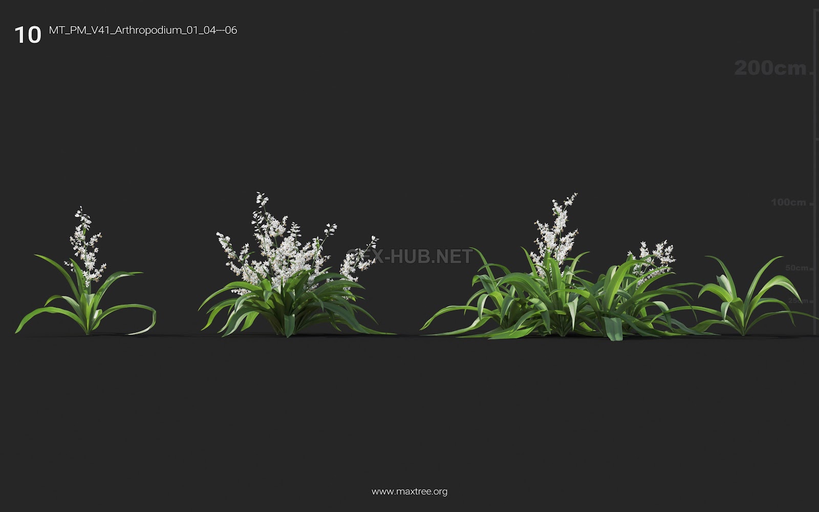 Maxtree - Plant Models Vol.41