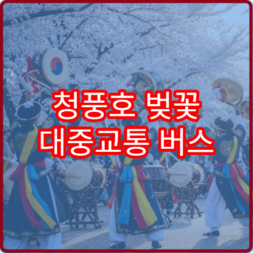 청풍호 벚꽃 대중교통 버스 노선 제천역에서 40분 완벽 가이드