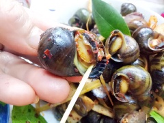 Cho ốc mít xào dừa ra đĩa chấm kèm với mắm chua ngọt. Phần thịt ốc nếu tìm được gai bưởi để lể thịt ốc thì tuyệt. Nếu không thì sử dụng tăm tre nhé!