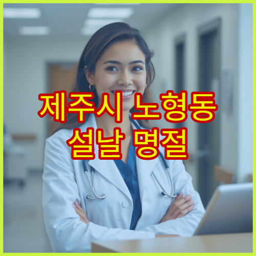 제주시 노형동 설날 명절 응급의학과 진료 – 갑작스러운 응급 증상 설날 연휴 대응 병원 정보
