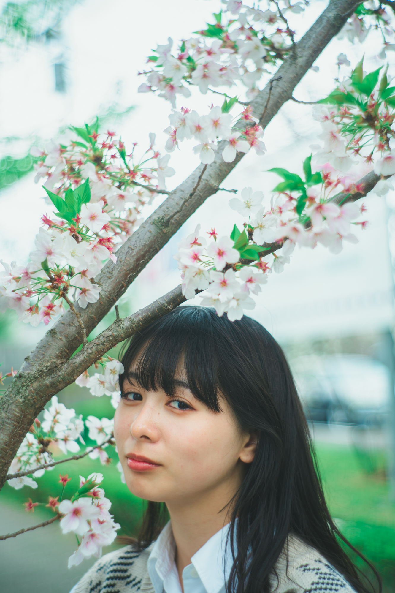 Portrait — Makino Shota
